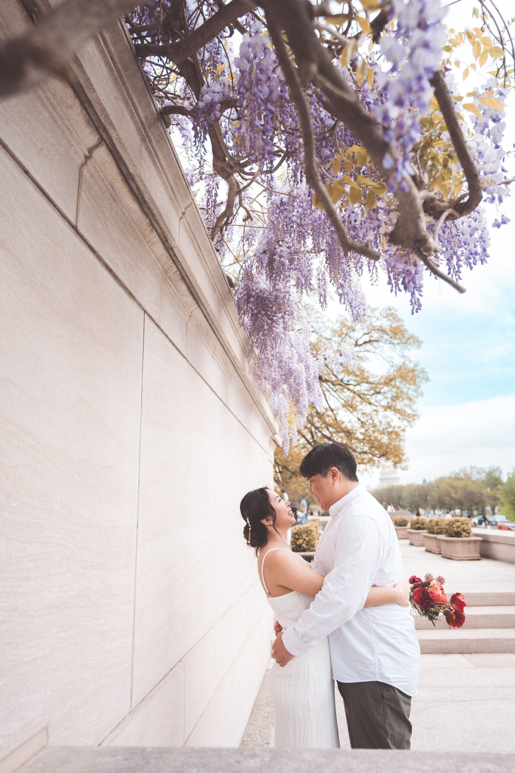 Couple embracing beneath blooming wisteria during a romantic spring Washington DC engagement session