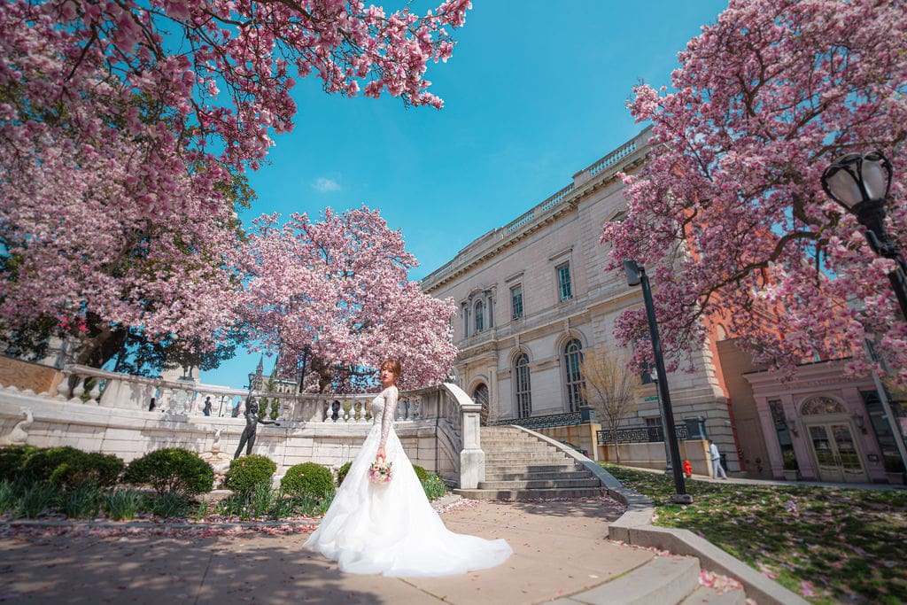 Bridal portrait surrounded by blooming cherry blossom trees near a historic Baltimore landmark.