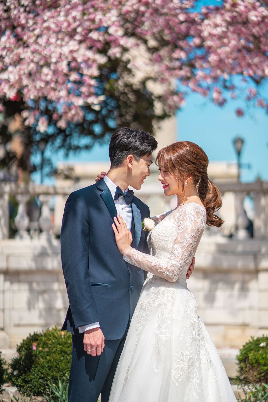 Korean bride and groom sharing a romantic portrait beneath blooming cherry blossom trees during spring wedding portraits in Baltimore.