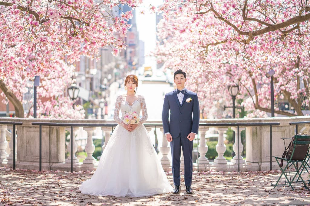 Korean bride and groom standing beneath blooming cherry blossoms in Baltimore during spring wedding portraits.