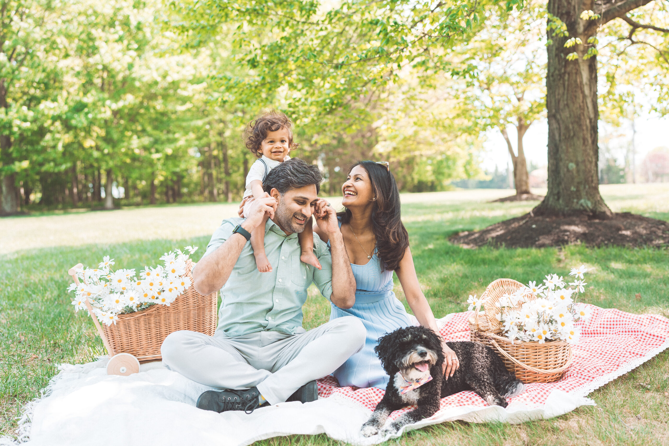 Family enjoying a picnic while their toddler rides on dad's shoulders and the family dog sits nearby during a Maryland family photoshoot.