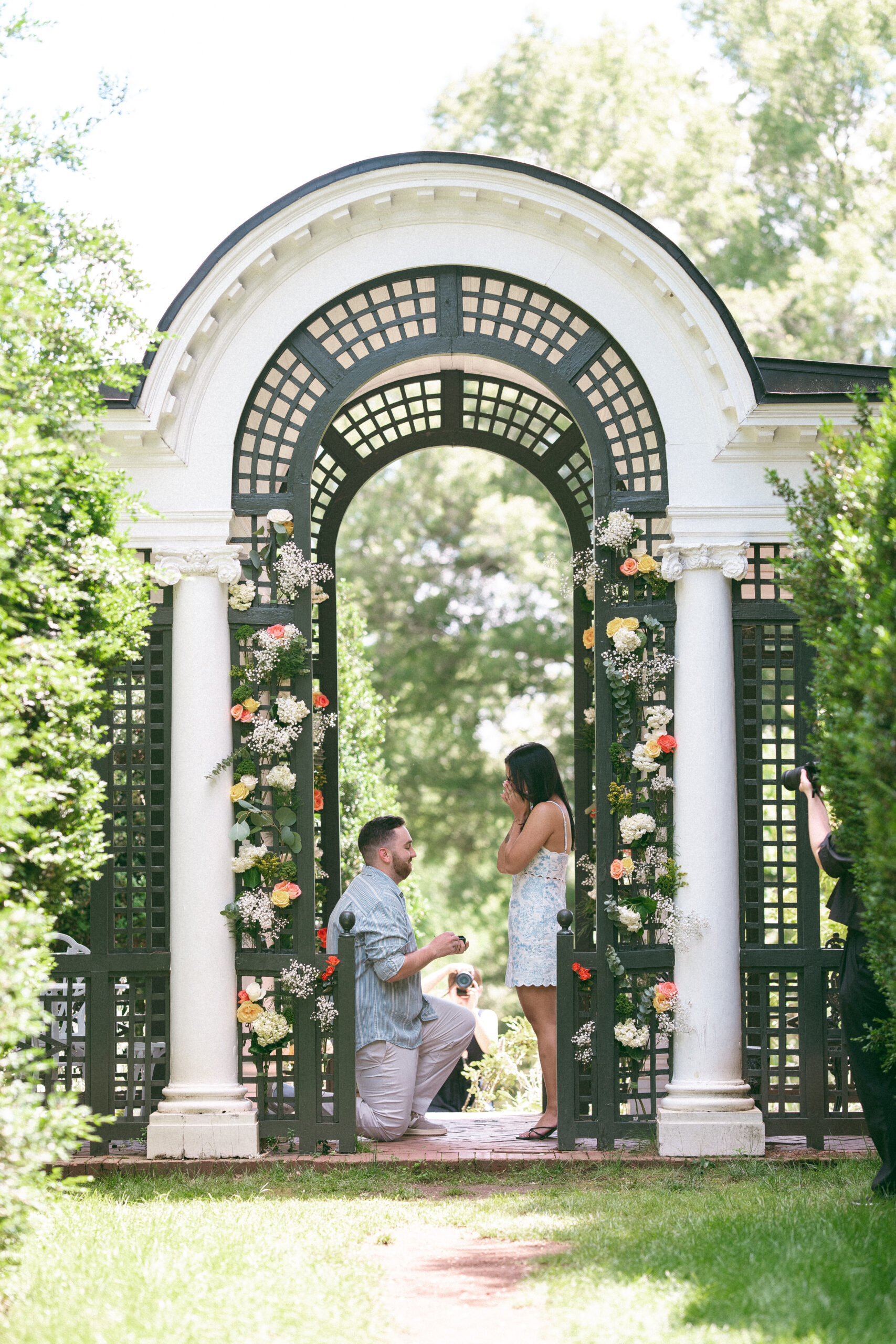 Marriage proposal beneath a floral arbor during a Northern Virginia proposal.