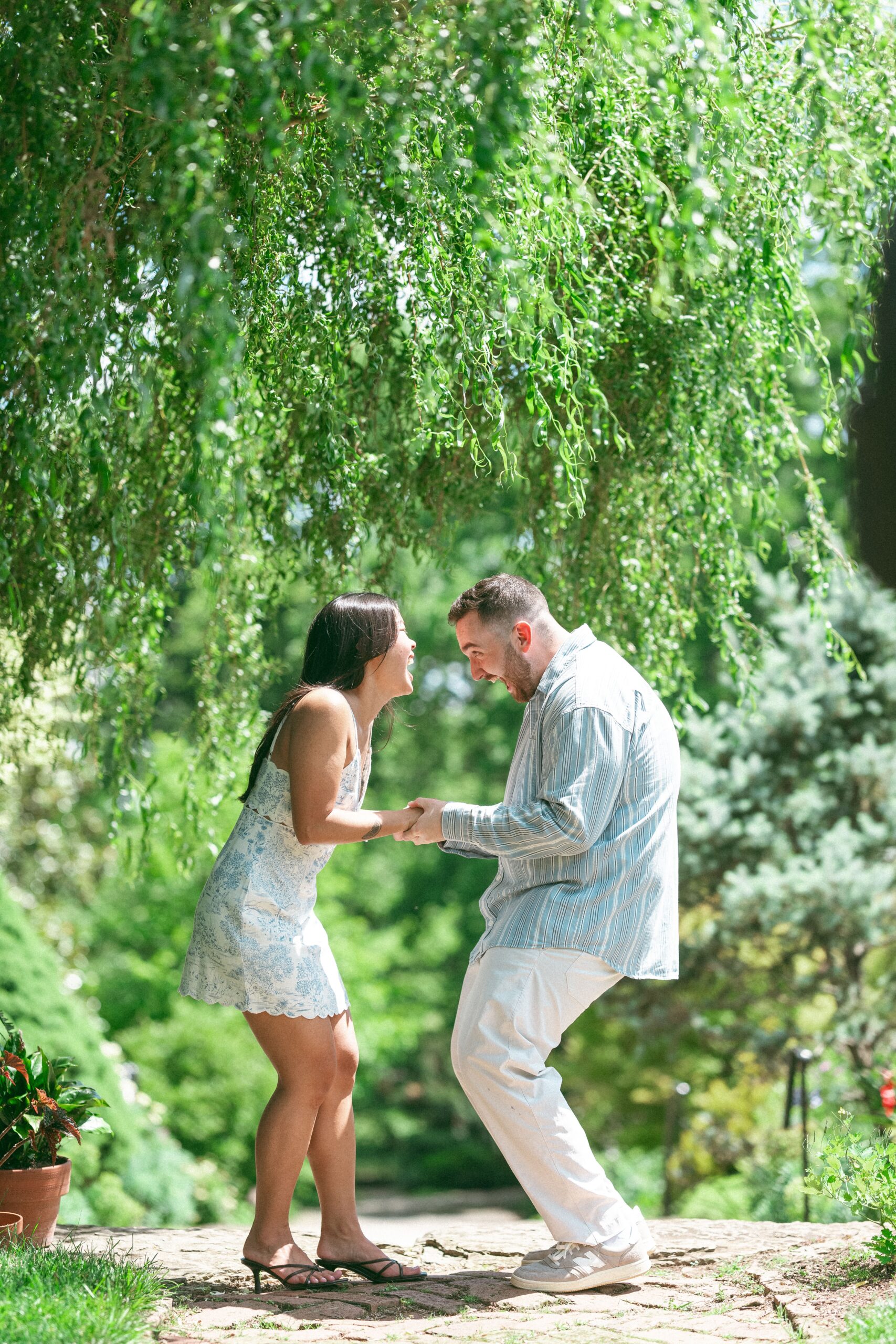 Newly engaged couple laughing together beneath cascading greenery during a Northern Virginia proposal.